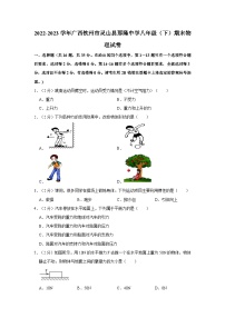 2022-2023学年广西钦州市灵山县那隆中学八年级（下）期末物理试卷