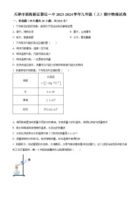 天津市滨海新区泰达一中2023-2024学年九年级上学期期中物理试题（原卷版+解析版）