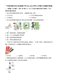 广东省河源市龙川县老隆中学2023-2024学年九年级上学期期末物理试题（原卷版+解析版）