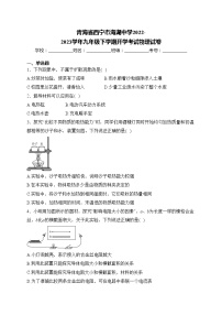 青海省西宁市海湖中学2022-2023学年九年级下学期开学考试物理试卷(含答案)