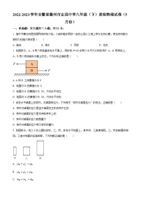 安徽省滁州市定远中学2022-2023学年八年级下学期5月质检物理试题（原卷版+解析版）