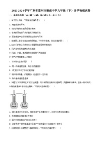 广东省惠州市德威学校2023-2024学年九年级下学期开学物理试题（原卷版+解析版）