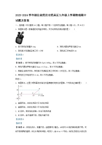 2023-2024学年湖北省武汉市武昌区九年级上学期物理期中试题及答案