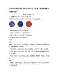 2023-2024学年湖北省武汉市洪山区九年级上学期物理期中试题及答案