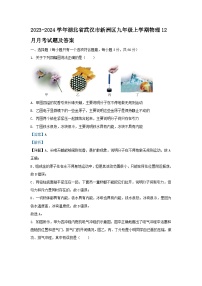 2023-2024学年湖北省武汉市新洲区九年级上学期物理12月月考试题及答案