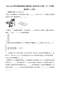 河南省漯河市城区第二实验中学2022-2023学年八年级下学期3月月考物理试题（原卷版+解析版）