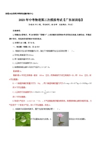 （广东深圳卷）2023年中考物理第三次模拟考试（含考试版+答题卡+全解全析+参考答案）