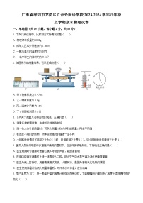 广东省深圳市龙岗区百合外国语学校2023-2024学年八年级上学期期末物理试题（原卷版+解析版）