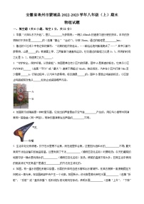 安徽省亳州市蒙城县2022-2023学年八年级上学期期末物理试题（原卷版+解析版）