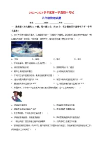 连云港市东海县2022-2023学年八年级上学期期中物理试题（含答案和解析）