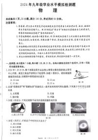 2024年广东省湛江市廉江市九年级中考一模考试物理试题