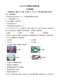 湖南省衡阳市常宁市2023-2024学年八年级上学期期末考试物理试题（原卷版+解析版）