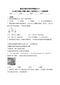 黑龙江省佳木斯市桦南县2023-2024年八年级上学期（期末）综合练习（二）物理试卷(含答案)