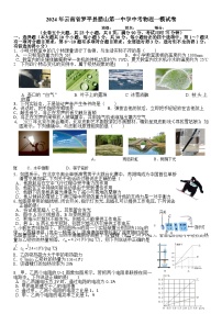 2024年云南省曲靖市罗平县腊山第一中学中考一模物理试题