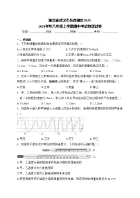 湖北省武汉市东西湖区2023-2024学年八年级上学期期中考试物理试卷(含答案)