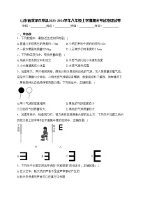 山东省菏泽市单县2023-2024学年八年级上学期期末考试物理试卷(含答案)