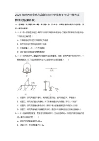 2024年陕西省宝鸡市高新区初中学业水平考试中考一模+物理试题+