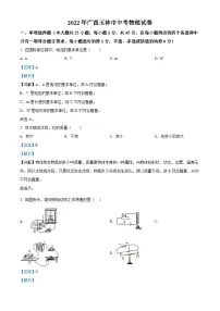 2022年广西玉林市中考物理试题（含解析）