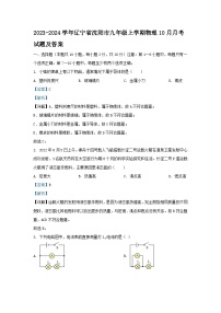 2023-2024学年辽宁省沈阳市九年级上学期物理10月月考试题及答案