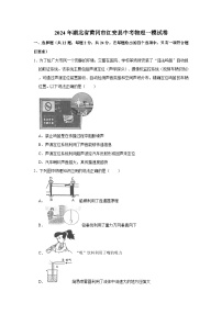 2024年湖北省黄冈市红安县中考物理一模试卷