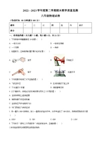 广东省湛江市麻章区八年级2022-2023学年下学期期末考试物理试题