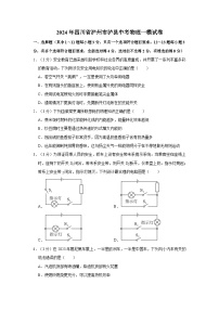 2024年四川省泸州市泸县中考物理一模试卷