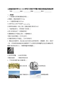 山西省实验中学2022-2023学年八年级下学期5月阶段性测试物理试卷(含答案)
