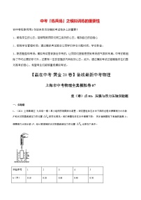 卷07【冲刺中考•模拟20卷】备战最新中考物理全真模拟卷（上海专用）