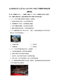 山东省临沂市兰山区2022-2023学年八年级下学期期中物理试卷+