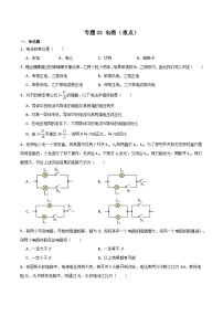 专题03 电路（重点）-九年级物理第一学期期中期末挑战满分训练（上海沪教版）