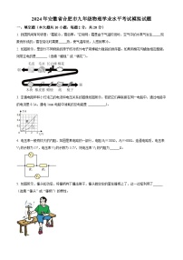 2024年安徽省合肥市九年级物理学业水平考试模拟试题（原卷版+解析版）