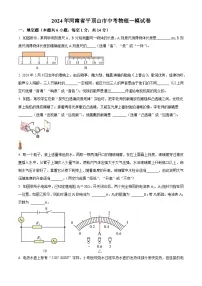 2024年河南省平顶山市中考物理一模试卷 （原卷版+解析版）