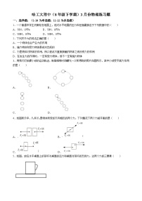 黑龙江省哈尔滨市工大附中2023-2024学年八年级下学期3月月考物理测试题+