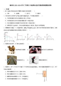 福建省福州市2023-2024学年下学期八年级期末适应性测试物理模拟试卷