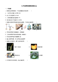 2024年山东省聊城市阳谷县实验中学九年级物理中考模拟测试（五）（原卷版+解析版）