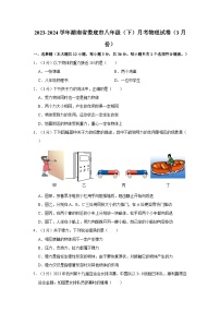 湖南省娄底市2023-2024学年八年级下学期月考物理试卷（3月份）