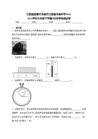 江西省宜春市丰城市江西省丰城中学2022-2023学年九年级下学期3月月考物理试卷(含答案)