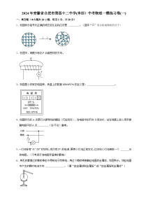 2024年安徽省合肥市第四十二中学(本部）中考物理一模练习卷(一)+