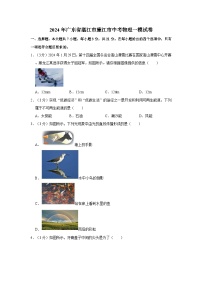 2024年广东省湛江市廉江市中考物理一模试卷