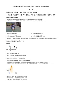 2024年广东省清远市清新区中考物理一模试卷（原卷版+解析版）