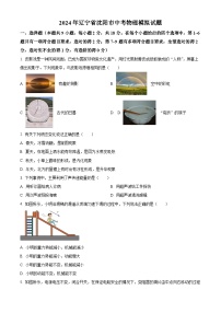 2024年辽宁省沈阳市中考物理模拟试题（原卷版+解析版）