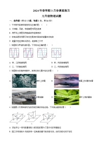 江苏省盐城市盐都区第一共同体2023-2024学年九年级下学期3月月考物理试题（原卷版+解析版）