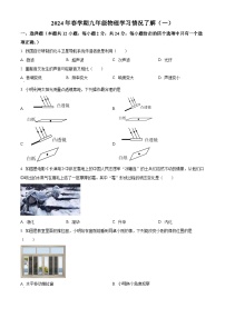 江苏省盐城市亭湖区盐城市毓龙路实验学校2023-2024学年九年级下学期3月月考物理试题（原卷版+解析版）