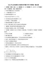 2024年山东省泰安市新泰市怀德中学中考物理一模试卷（原卷版+解析版）