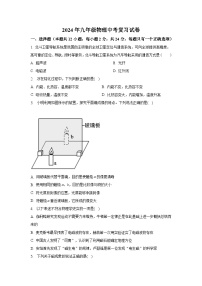 2024年江苏省无锡锡山区中考物理复习试卷