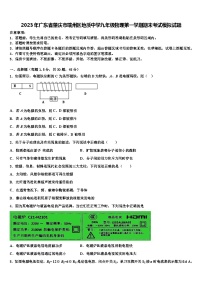 2023年广东省肇庆市端州区地质中学九年级物理第一学期期末考试模拟试题含解析