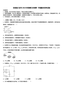 安徽省六安市2023年物理九年级第一学期期末统考试题含解析