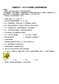 安徽省安庆九一六校2023年物理九上期末联考模拟试题含解析