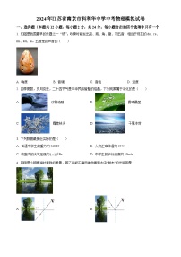 2024年江苏省南京市科利华中学中考物理模拟试卷（原卷版+解析版）