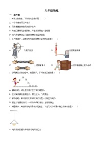 河南省郑州市桐柏一中2023-2024学年八年级下学期月考物理试卷（3月份）（原卷版+解析版）